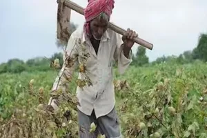 કૃષિ સહાય સાથે વેરા વસૂલાતનો વિવાદ:કાલાવડ TDOને શોકોઝ, DDOની તાત્કાલિક કાર્યવાહી