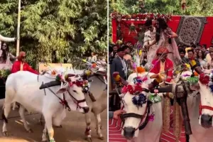 મુખ્યમંત્રીએ સાદગીથી કરાવ્યા પુત્રની સગાઈ, બળદગાડામાં પહોંચ્યા