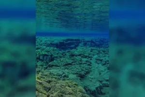 પેસિફિક મહાસાગરના નીચેના ભાગે ધરતીના બે ભાગ થઇ રહ્યા છે... શું કોઈ મોટું સંકટ તો નથી આવવાનું ને?