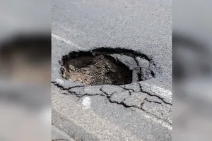 રસ્તા પર ખાડા હોવાની જાણ કરનારને મળશે રૂ. 5000, આ રાજ્યમાં આવી રહી છે નવી સ્કીમ