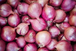 ડુંગળીના ભાવમાં ભડકો: છૂટક બજારમાં ભાવ ₹30 થી ₹50 પ્રતિ કિલોને પાર