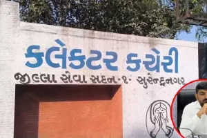 શું ગુજરાતની બધી જ કલેક્ટર કચેરીઓને ભ્રષ્ટ બનાવવા પાછળ ચૂંટાયેલા સ્થાનિક નેતાઓ જવાબદાર છે?