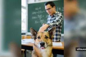 આજ જોવાનું બાકી હતું! હવે ગુજરાતના શિક્ષકો કૂતરાઓ ગણશે; મંત્રી કહે કોર્ટનો આદેશ છે