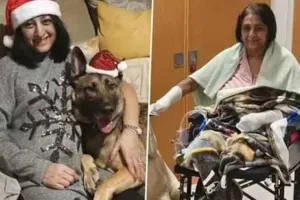 પાળતુ કૂતરાના ચાટવાથી આ મહિલાએ બે હાથ અને બે પગ ગુમાવ્યા; જાણો આ જીવલેણ રોગ વિશે