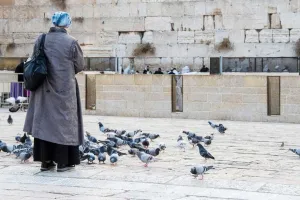 પ્રતિબંધ હોવા છતા મહિલાએ કબૂતરોને દાણા નાખતા કોર્ટે 2 લાખનો દંડ ફટકારી દીધો