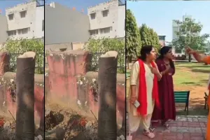 ઝાડની આડમાં યુગલો બેસતા હતા, પાર્કના વૃક્ષો જ કાપી નાખ્યા, મહિલાઓએ કર્યો વિરોધ