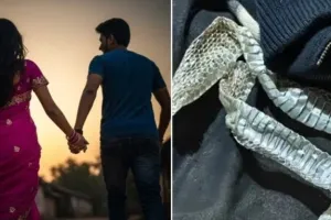 નાગીન બનવાની અફવા ફેલાવી પ્રેમી સાથે ભાગી, બેડ પર છોડી ગઈ સાંપની ચામડી, બંગડીઓ અને સિંદૂર