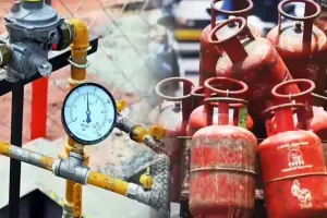 LPGનો જથ્થો છે, તો પણ સરકાર PNGમાં કનેક્શન લેવાનું કેમ કહે છે? આ રહ્યા તેના કારણો