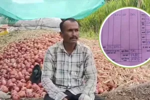 કિલો ડુંગળીના 50 પૈસા... 600 કિલો ડુંગળી વેચીને ખેડૂતને મળ્યા 301 રૂપિયા, પોતાના ખિસ્સામાંથી રૂ. 1082 ચૂકવ્યા