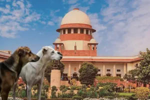 શું આપણા દેશમાં કૂતરાઓનો કોઈ ઉપાય છે?