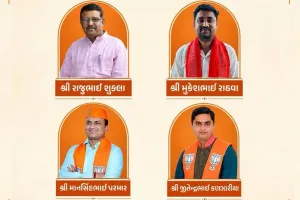 ગુજરાતના રાજ્યસભાના 4 ઉમેદવારો કોણ છે, 3નું છે RSS કનેક્શન, જાણો તમામ માહિતી