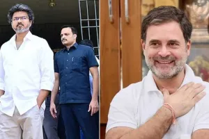 2029મા PM તરીકે વિપક્ષમાંથી કોણ? રાહુલ ગાંધી કે થલાપતિ વિજય... કોંગ્રેસ અને TVK નેતાઓ બાખડ્યા