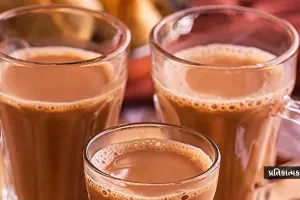 સરકારી યુનિવર્સિટી છે કે 5-સ્ટાર હોટેલ? 'કટિંગ' ચા માટે રૂ. 500 અને 1 કિમી કારનું ભાડું રૂ. 3000 ચૂકવાયું