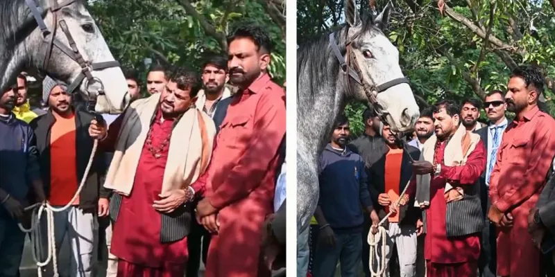 બ્રૃજ ભૂષણ શરણ સિંહને ગિફ્ટમાં મળ્યો ઘોડો, કિંમત જાણીને ઊડી જશે હોશ