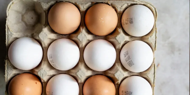 દરેક ઈંડા પર લખવી પડશે એક્સપાયરી ડેટ, યોગી સરકાર કડક નિયમો લાગૂ કરવા જઇ રહી છે