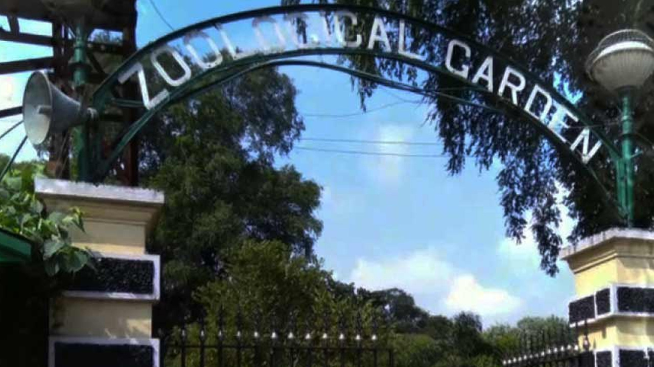 alipore-zoological-garden