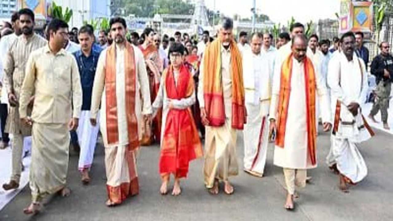 TTD Trust-Polyester Shawls