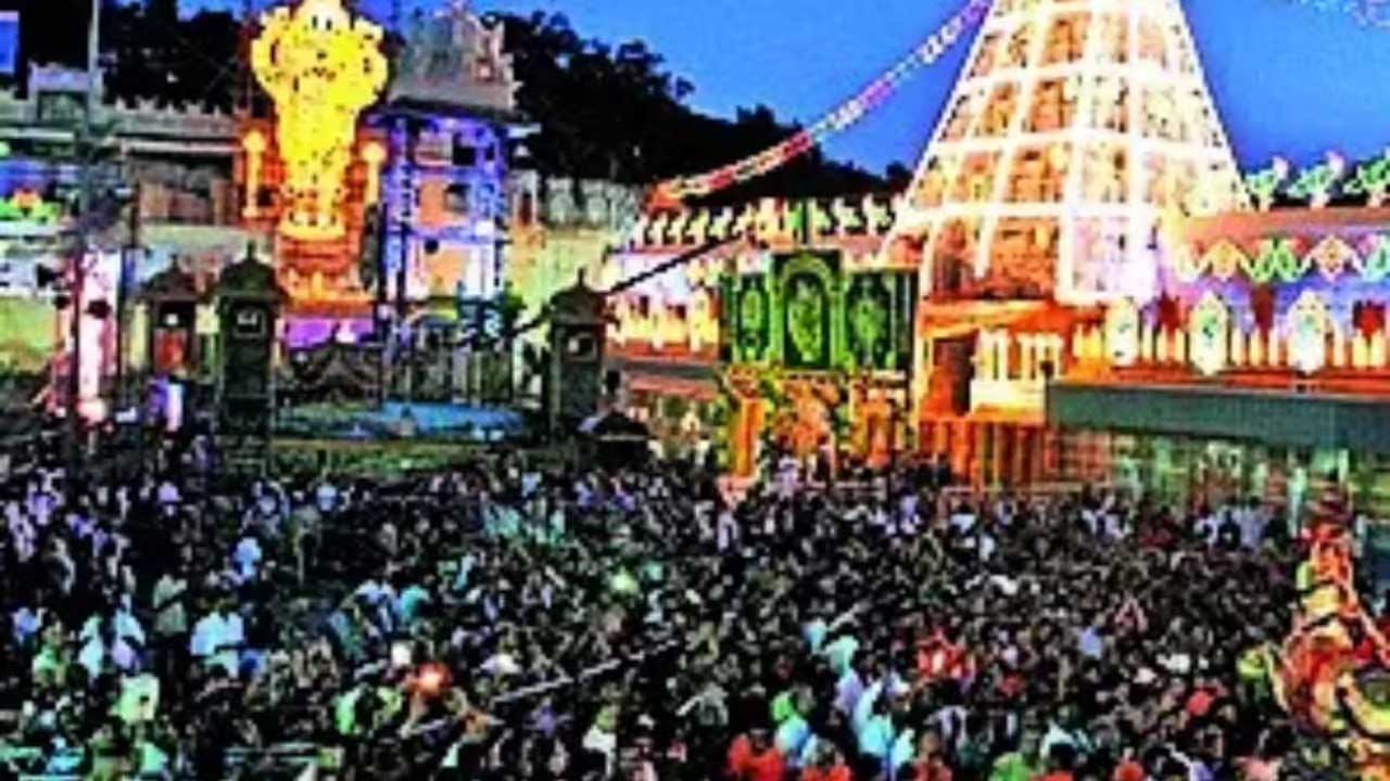 TTD Trust-Polyester Shawls